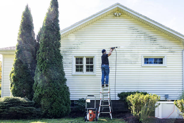 Best Paint Preparation  in Mead, WA